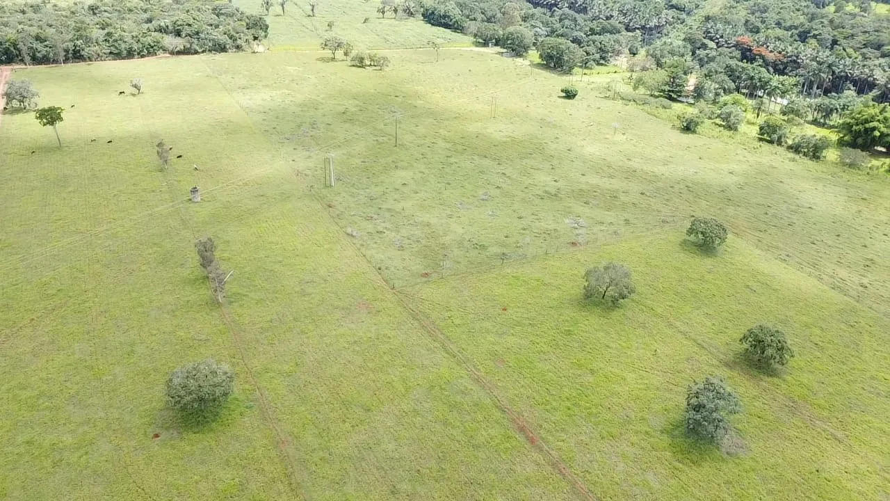 Pasto e solo: foto real da Fazenda Vau das Pombas